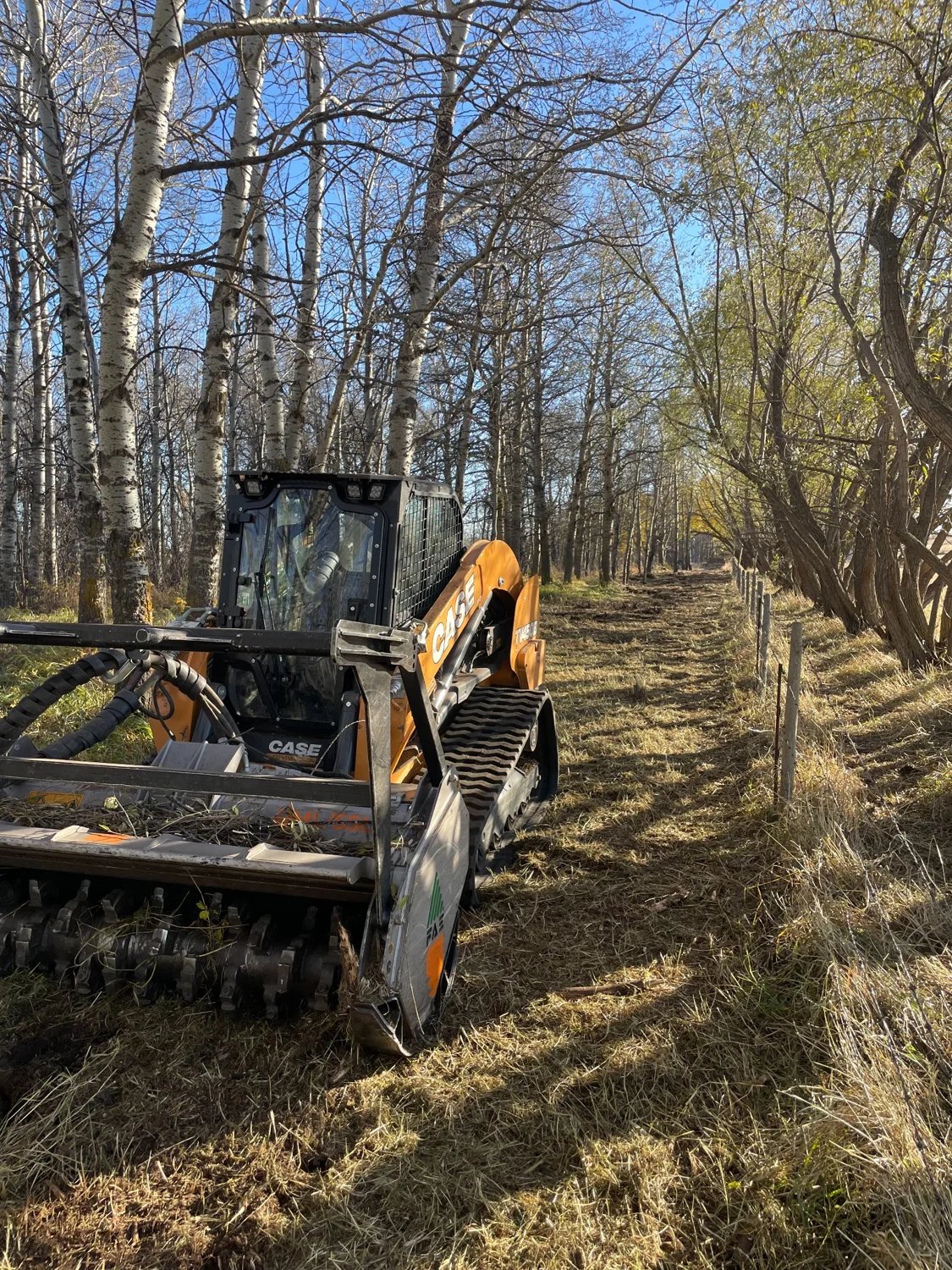 Tracked skid steer with forestry mulching attachment clearing brush among trees in Central Alberta